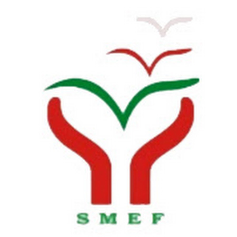 SMEF logo